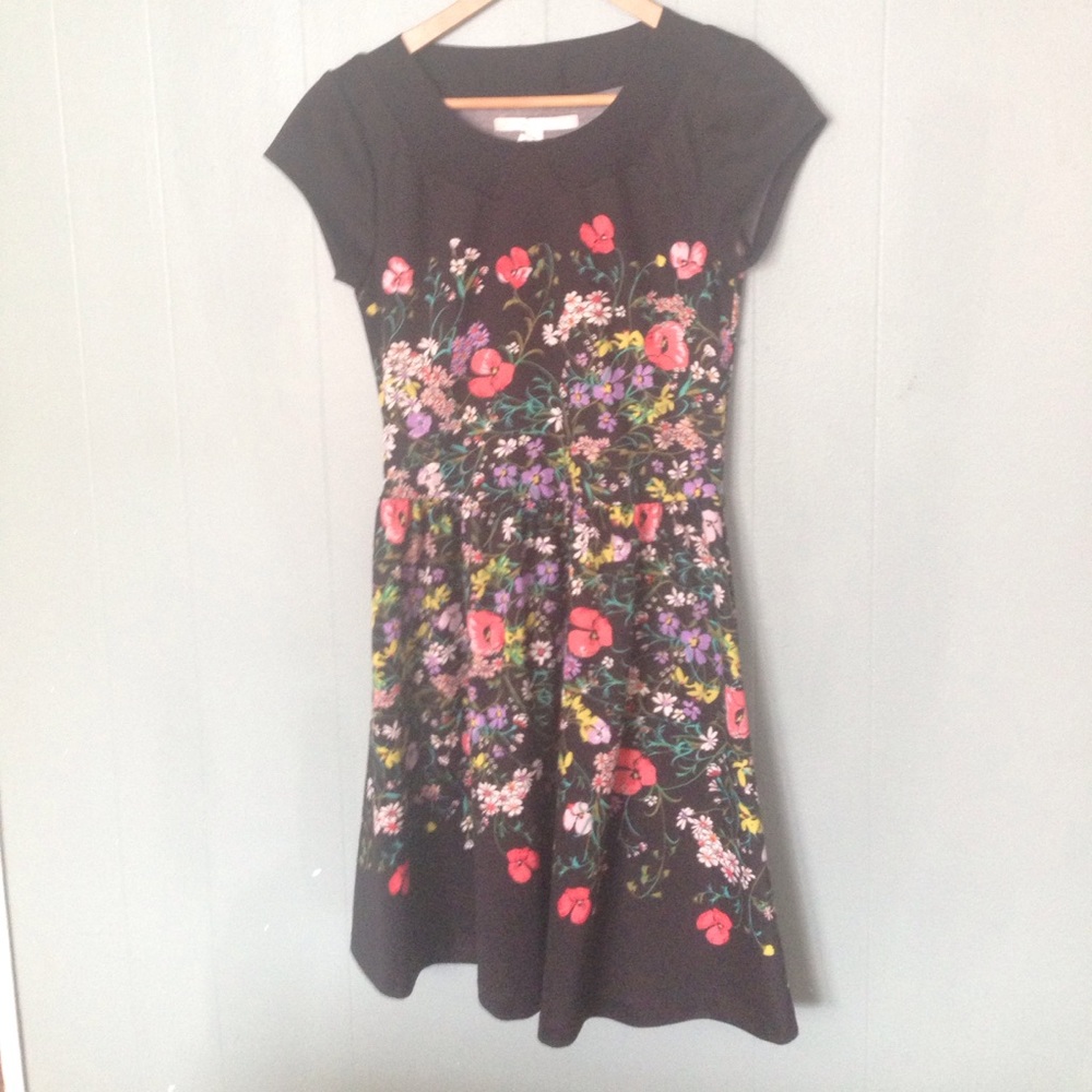 Lauren Conrad Floral A-line dress